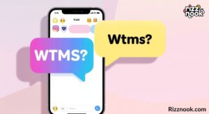 WTMS Meaning in Text: A Complete Guide