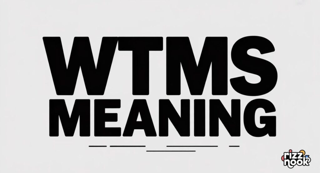 WTMS Meaning in Text Funny