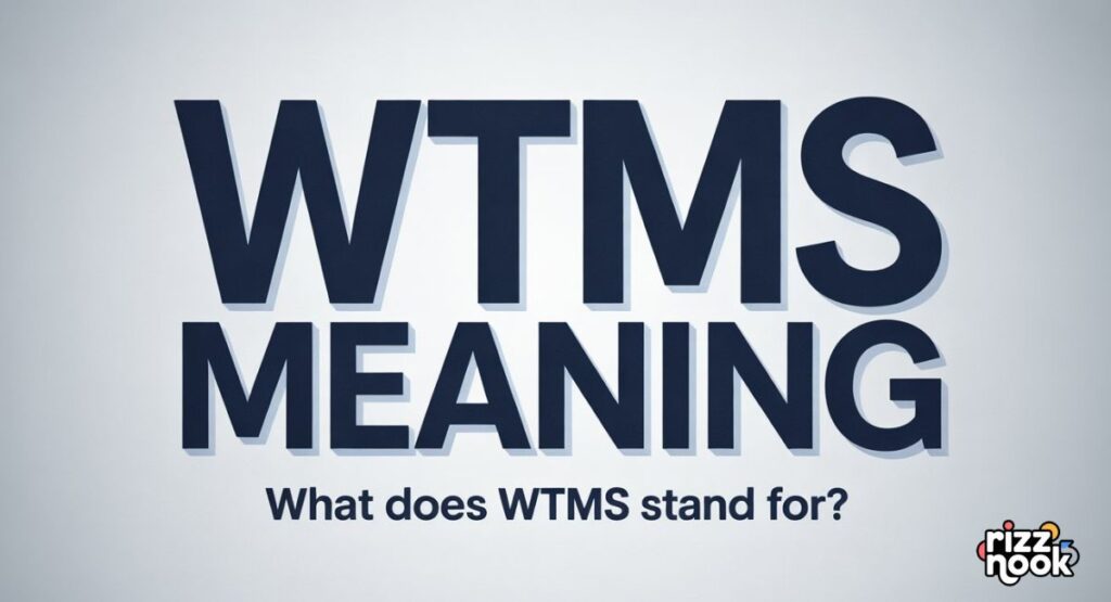 WTMS Meaning on Instagram