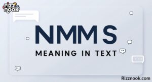 NMMS Meaning in Text: A Complete Guide to Understanding and Using It