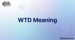 WTD Meaning: What Does WTD Stand For in Text and Online?