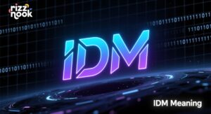 IDM Meaning: What Does IDM Stand For in Text and Chat?