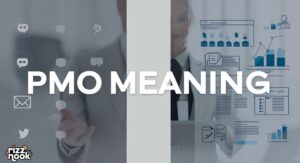 PMO Meaning: Slang, Text, and Business Explained