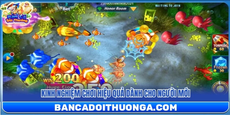 Why Fish Shooting Games with Rewards Are So Popular in 2026